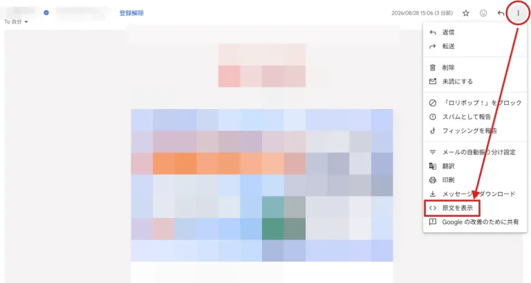 Gmailのメール右上にある縦三点メニューから「原文を表示」を選ぶ画面